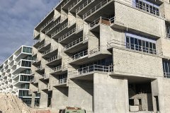 IMG_1698