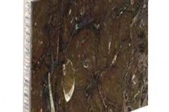 fossile-brown