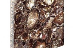 semi-precious-petrified-w